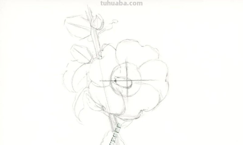 1天不画就手痒!画花真的会上瘾,教你画蜀葵花 1天不画就手痒!画花真的会上瘾,教你画蜀葵花