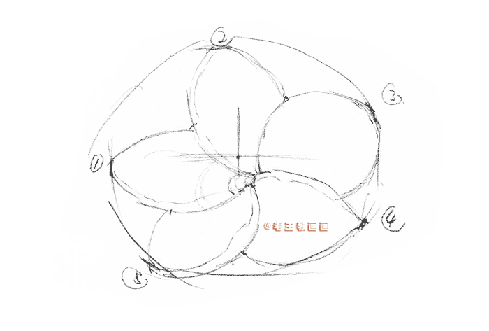 彩铅详细过程，教你画一朵花卉