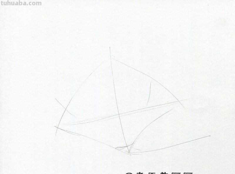 玉兰花太美了，网友：用彩铅画出来更美