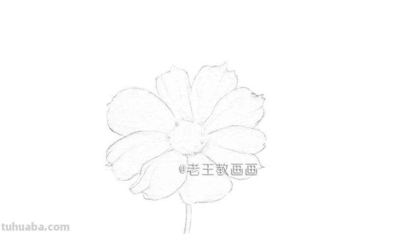 零基础小白也能画彩铅，教你画一朵小菊花