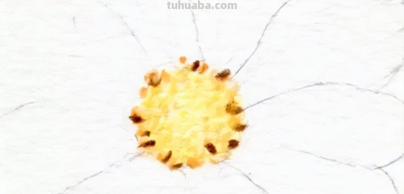 零基础小白也能画彩铅，教你画一朵小菊花