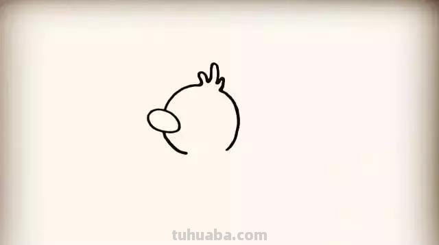 小动物简笔画系列教程，美美哒！