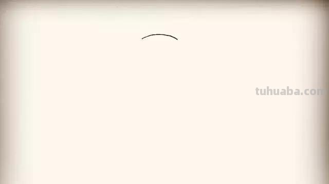 小动物简笔画系列教程，美美哒！