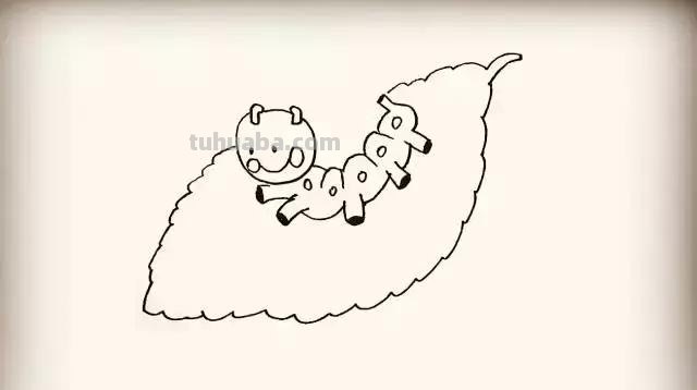 小动物简笔画系列教程，美美哒！