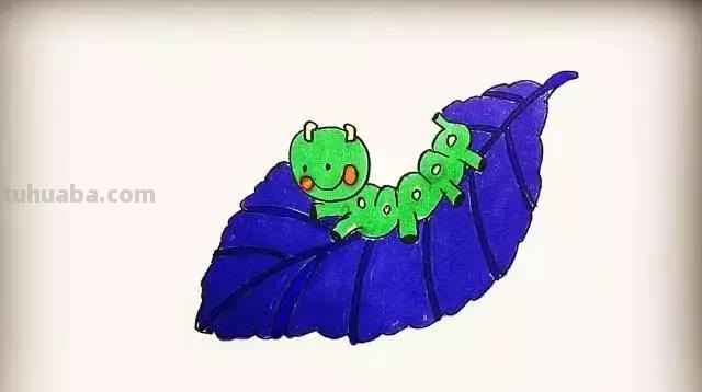 小动物简笔画系列教程，美美哒！