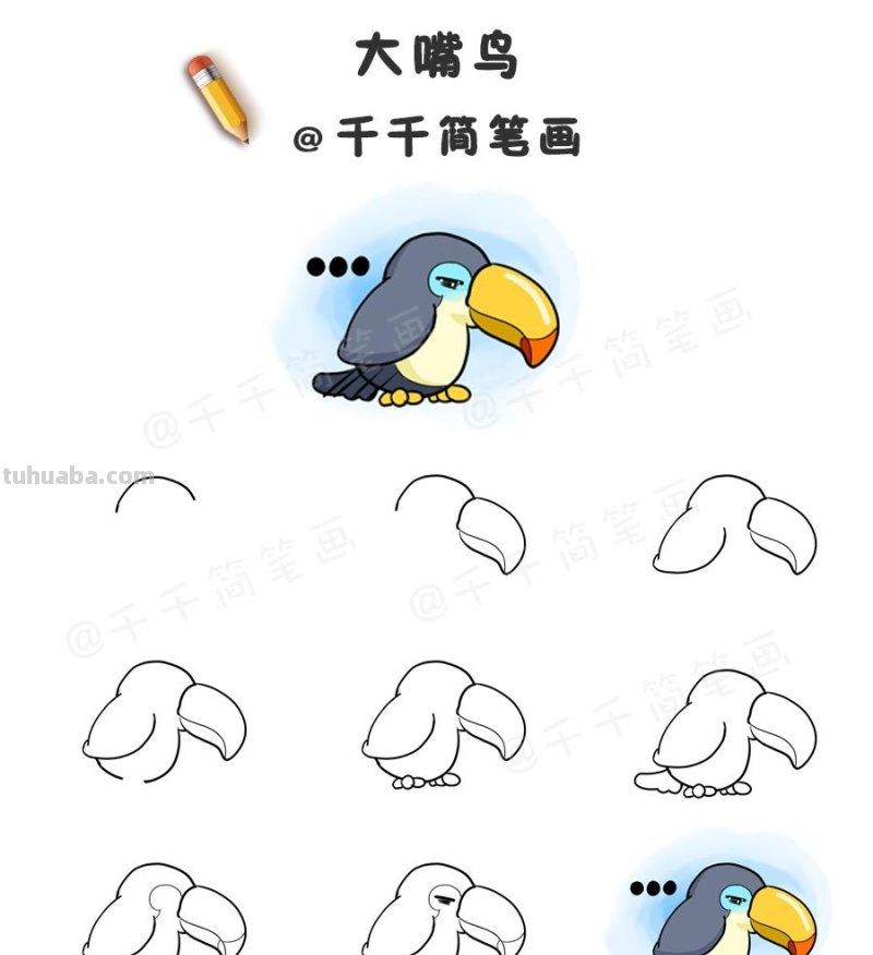 超详细！鸟类简笔画步骤图，值得收藏！