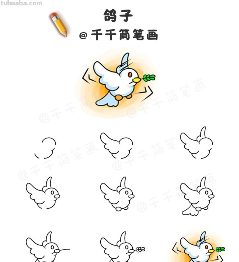 超详细！鸟类简笔画步骤图，值得收藏！