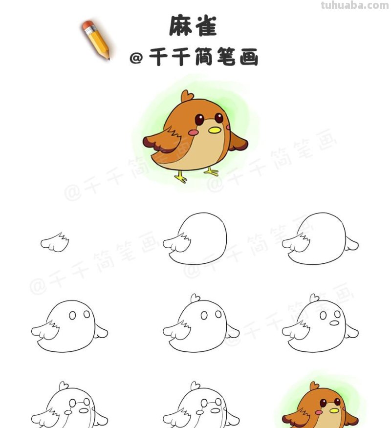 超详细！鸟类简笔画步骤图，值得收藏！