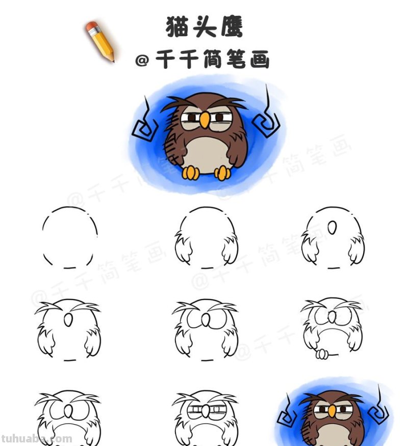 超详细！鸟类简笔画步骤图，值得收藏！