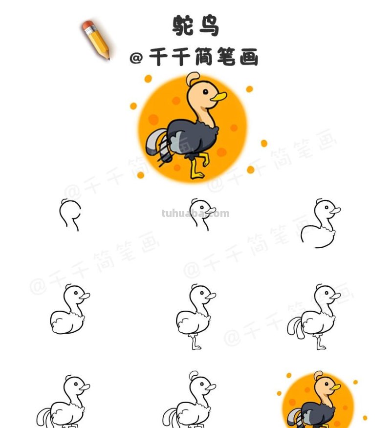 超详细！鸟类简笔画步骤图，值得收藏！