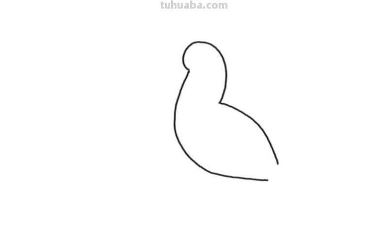 简笔画 - 鸟儿详细步骤，一学就会，和孩子画一画吧，建议收藏