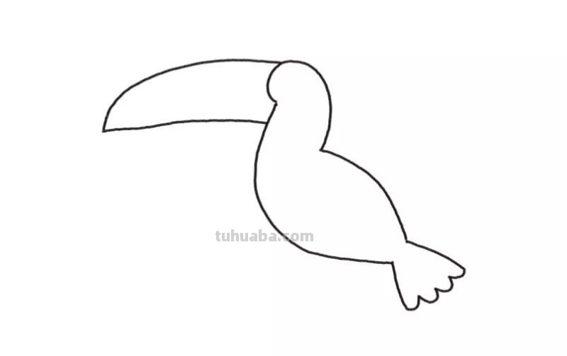 简笔画 - 鸟儿详细步骤，一学就会，和孩子画一画吧，建议收藏