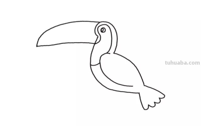 简笔画 - 鸟儿详细步骤，一学就会，和孩子画一画吧，建议收藏