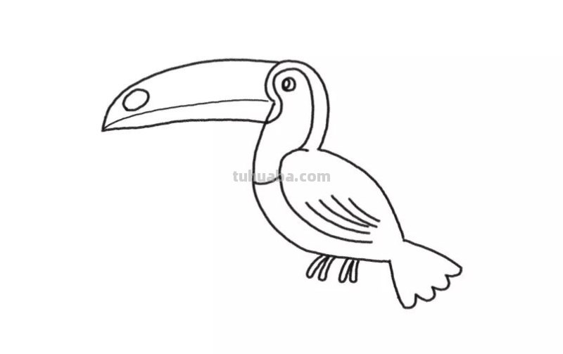 简笔画 - 鸟儿详细步骤，一学就会，和孩子画一画吧，建议收藏