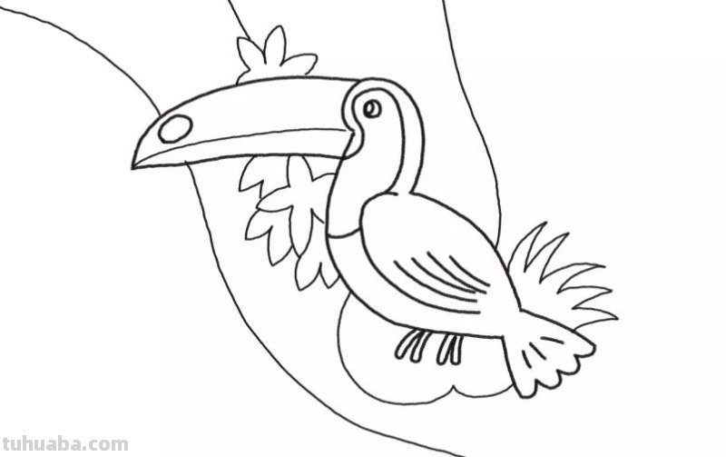 简笔画 - 鸟儿详细步骤，一学就会，和孩子画一画吧，建议收藏