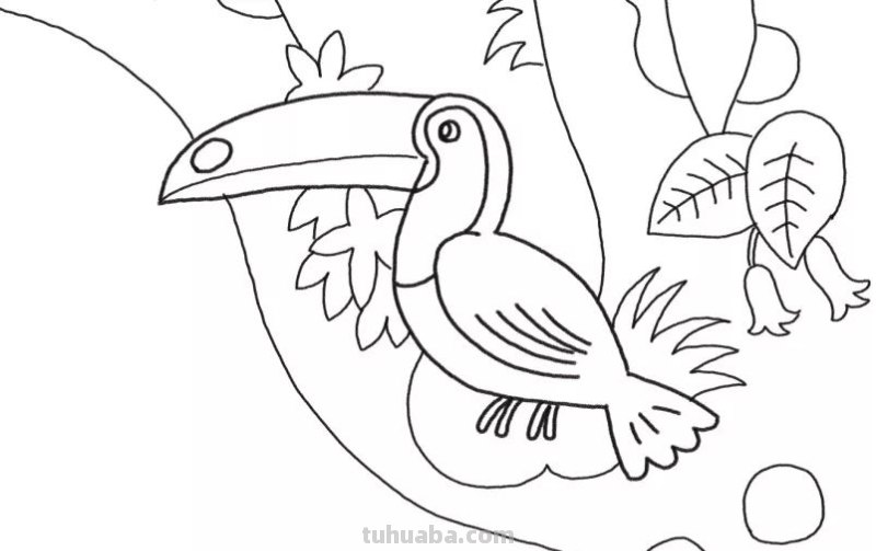 简笔画 - 鸟儿详细步骤，一学就会，和孩子画一画吧，建议收藏