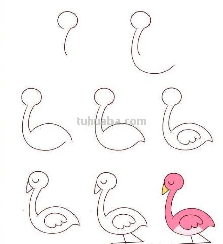 十种鸟类简笔画你看过吗？孔雀鸵鸟猫头鹰都在这里，快收藏教孩子