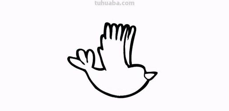 每天学一幅简笔画-飞鸟简笔画怎么画