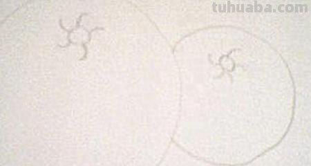柚子怎么画简笔画(柚子怎么画简笔画图片) 柚子怎么画简笔画(柚子怎么画简笔画图片)