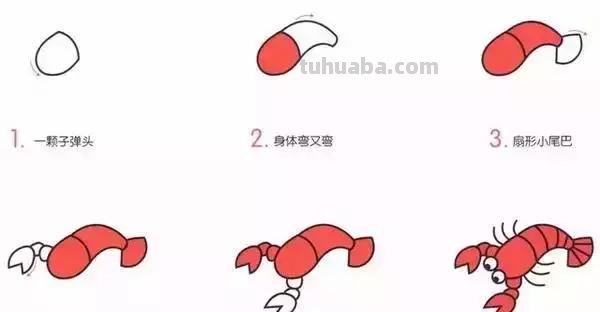 简笔画｜幼儿简笔画，10种海洋生物详细教程，还有颜色喔，收藏！