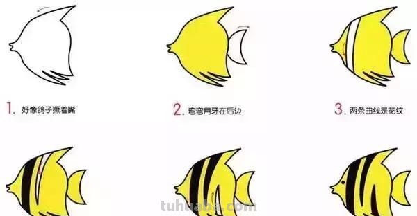 简笔画｜幼儿简笔画，10种海洋生物详细教程，还有颜色喔，收藏！