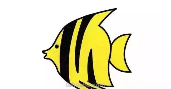 简笔画｜幼儿简笔画，10种海洋生物详细教程，还有颜色喔，收藏！