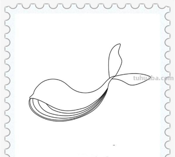 儿童简笔画精选「海洋动物」-海豚（Dolphin）的画法