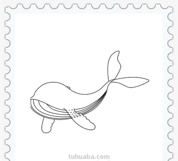 儿童简笔画精选「海洋动物」-海豚（Dolphin）的画法