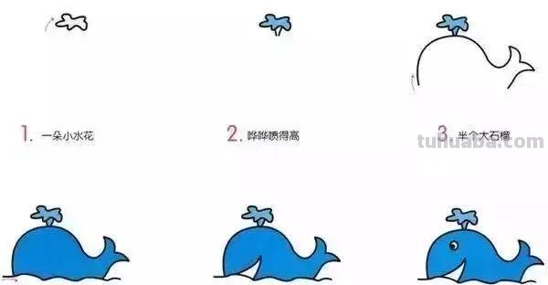 10种海洋生物详细教程，还有颜色喔，收藏！