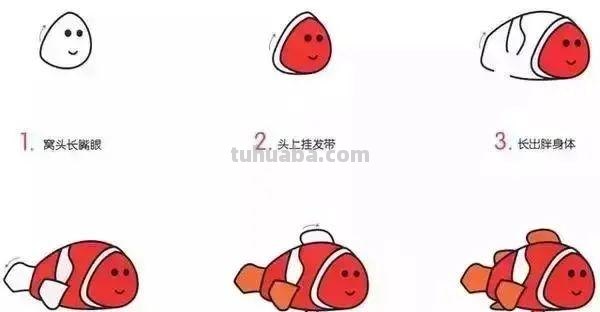 10种海洋生物详细教程，还有颜色喔，收藏！