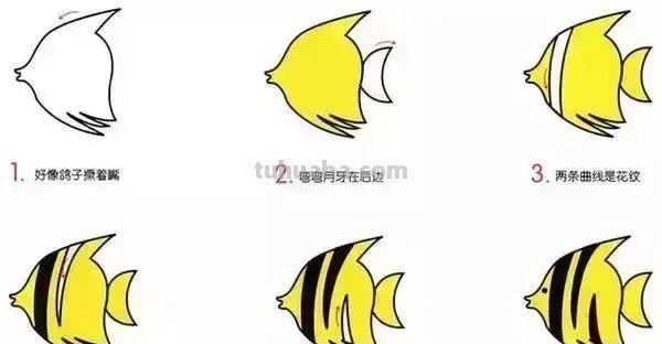 10种海洋生物详细教程，还有颜色喔，收藏！