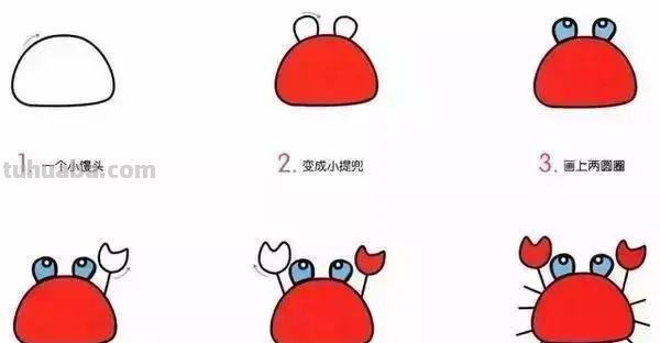 10种海洋生物详细教程，还有颜色喔，收藏！