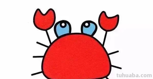 10种海洋生物详细教程，还有颜色喔，收藏！