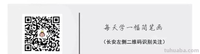 10种海洋生物详细教程，还有颜色喔，收藏！