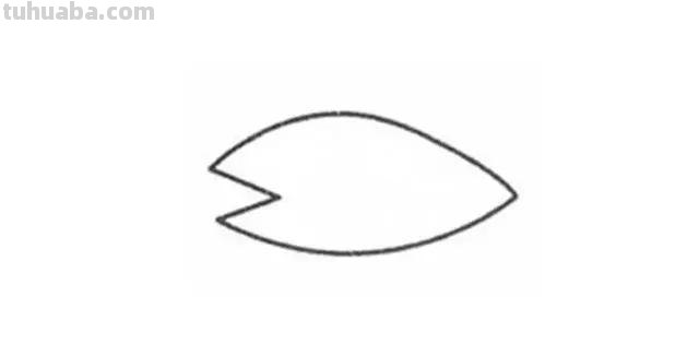 「儿童简笔画」大海里最凶猛的大白鲨的绘画步骤 「儿童简笔画」大海里最凶猛的大白鲨的绘画步骤