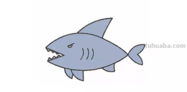 「儿童简笔画」大海里最凶猛的大白鲨的绘画步骤 「儿童简笔画」大海里最凶猛的大白鲨的绘画步骤