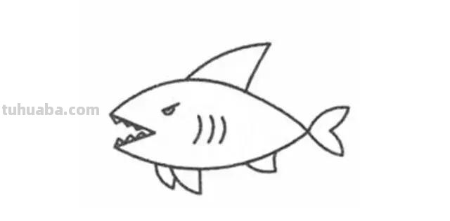 「儿童简笔画」大海里最凶猛的大白鲨的绘画步骤 「儿童简笔画」大海里最凶猛的大白鲨的绘画步骤