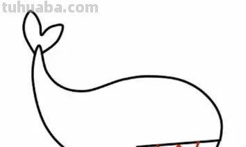 「儿童简笔画」大海里最凶猛的大白鲨的绘画步骤 「儿童简笔画」大海里最凶猛的大白鲨的绘画步骤