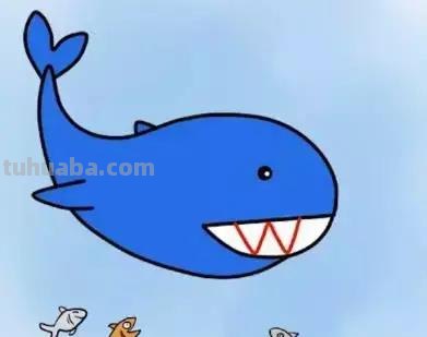 「儿童简笔画」大海里最凶猛的大白鲨的绘画步骤 「儿童简笔画」大海里最凶猛的大白鲨的绘画步骤
