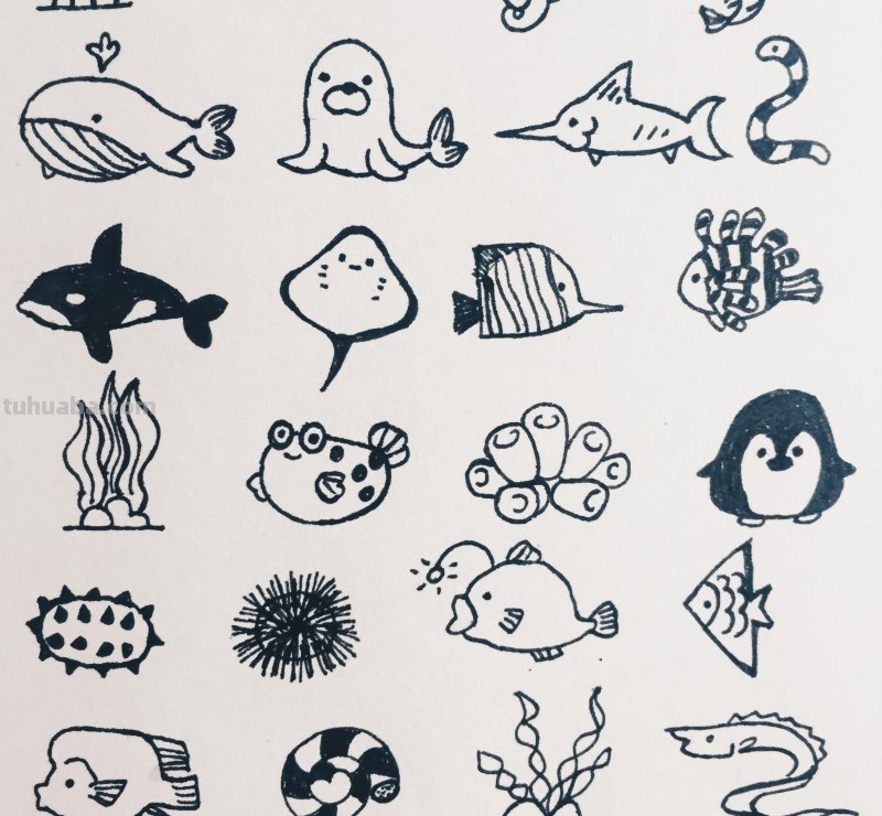 海洋生物简笔画，胖嘟嘟的河豚，卖萌的魔鬼鱼，快来看看吧