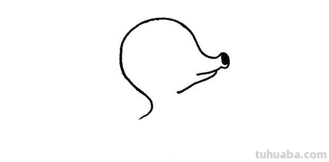 简笔画教程，只需几步画出海洋里的小伙伴：章鱼、海马、鲸鱼