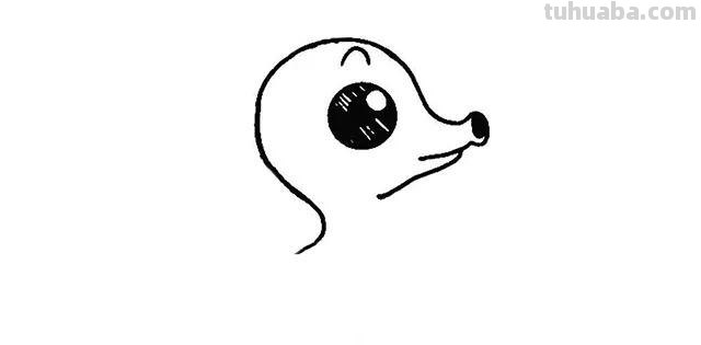 简笔画教程，只需几步画出海洋里的小伙伴：章鱼、海马、鲸鱼