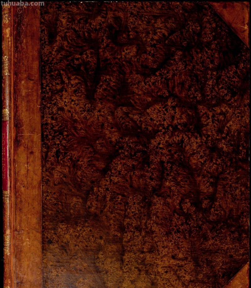 精美手绘《猫科动物图鉴》1883年