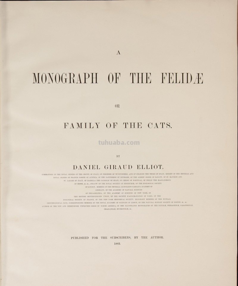精美手绘《猫科动物图鉴》1883年