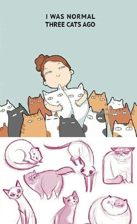 一大波简笔画猫的各种动作画法（素材）