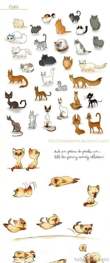一大波简笔画猫的各种动作画法（素材）