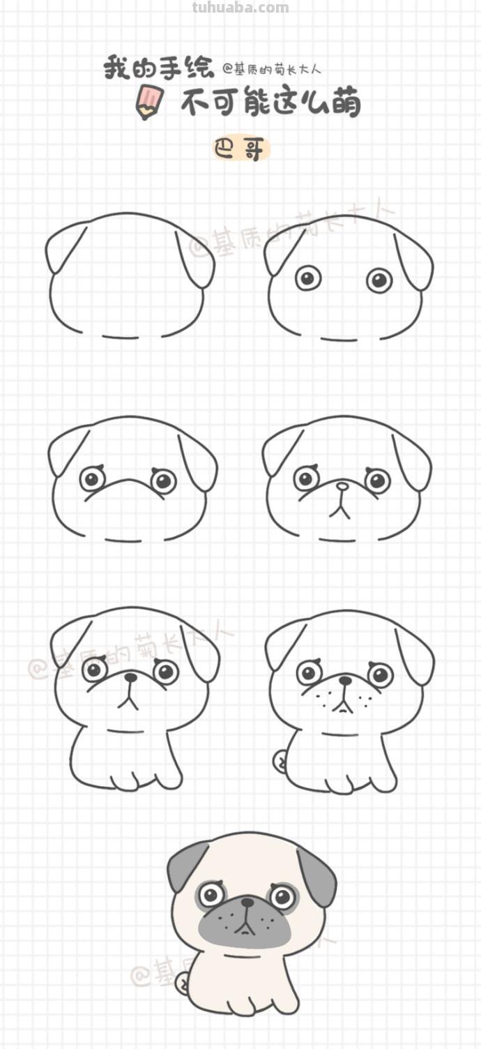 各种狗狗简笔画教程~