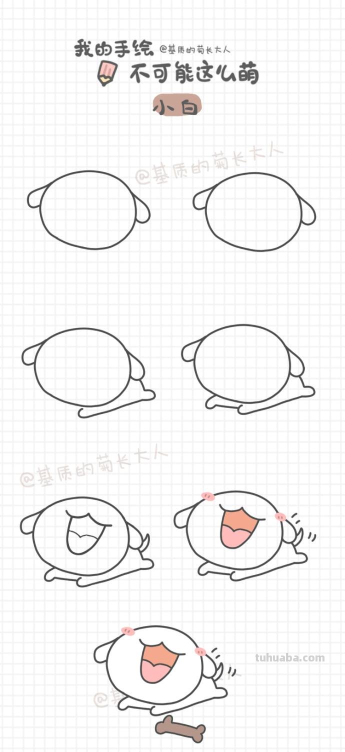 各种狗狗简笔画教程~