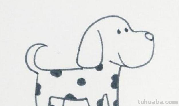 动物简笔画教程：斑点狗怎样画？简笔画步骤图，爱画画的小朋友看