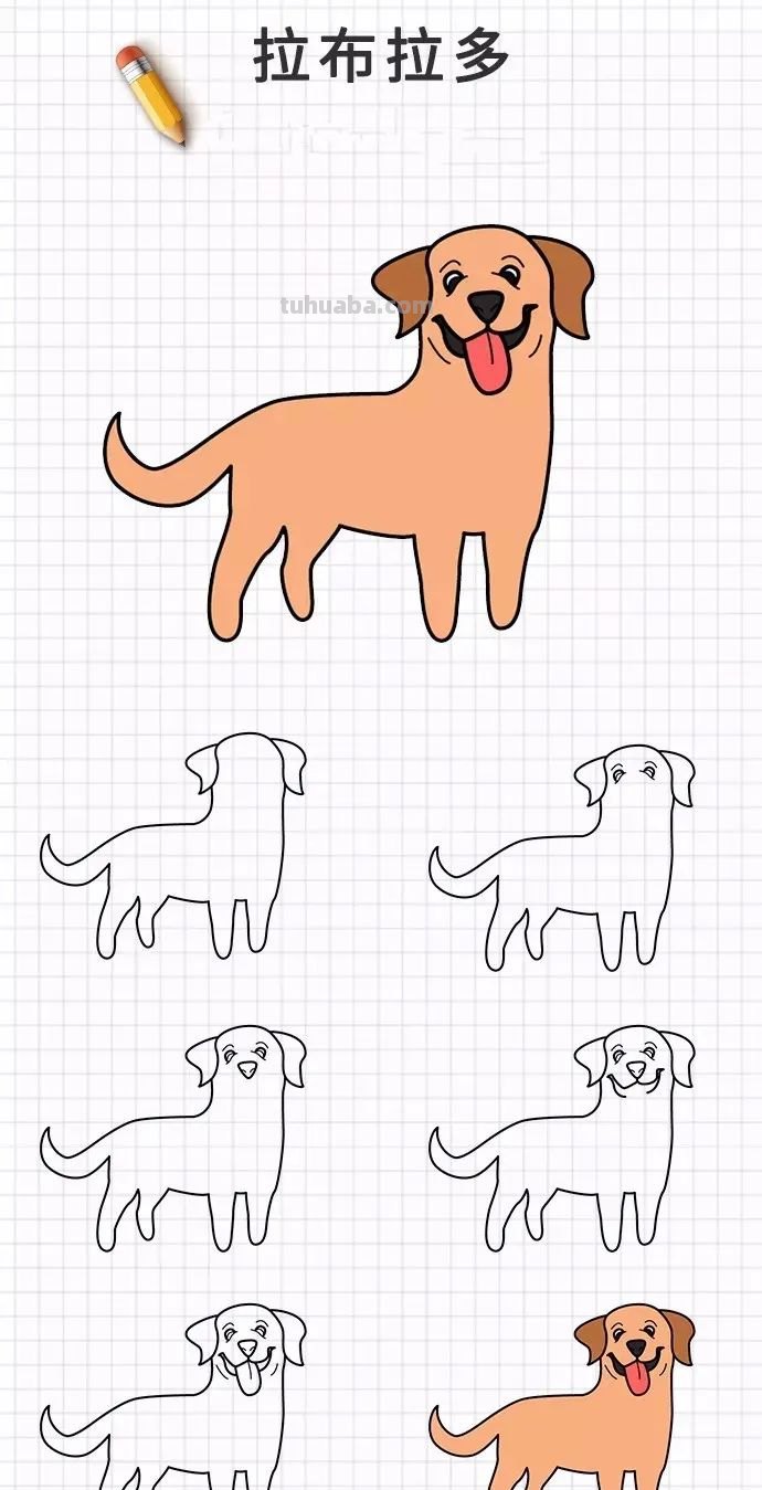 简笔画｜20种狗狗画法大全，一学就会，你喜欢的都有哦，收藏